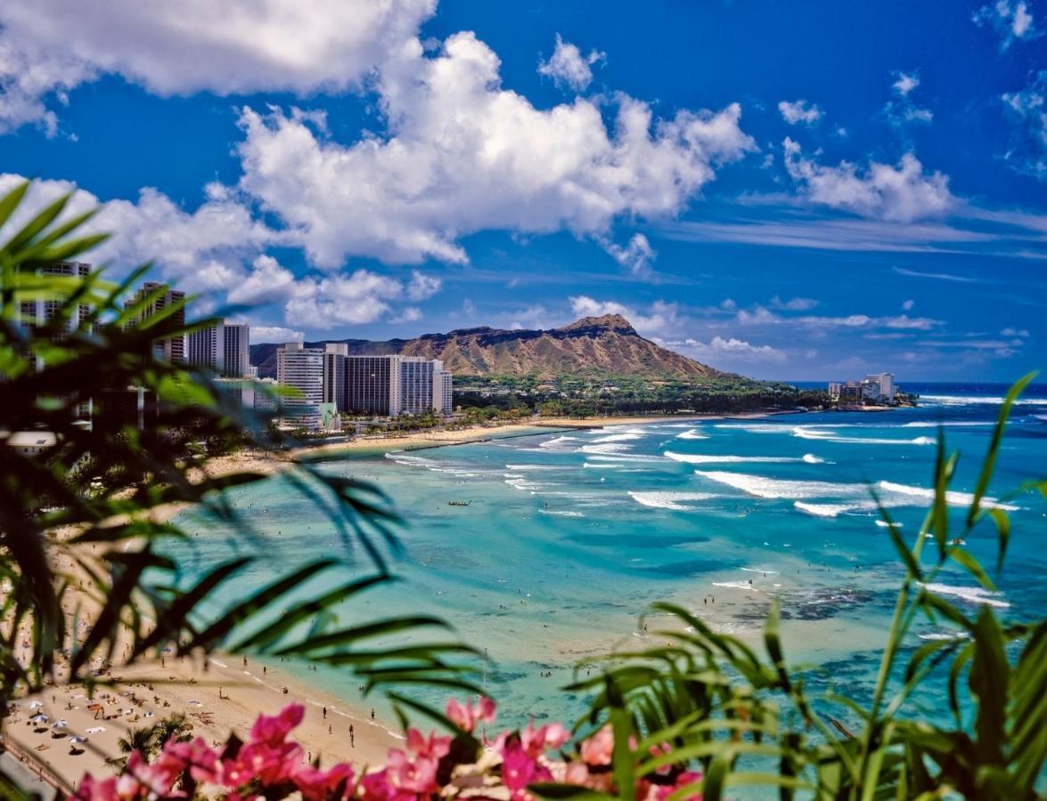 Diamond Head Views Retreat With Free Parking & Near Waikiki Beach! Honolulu Esterno foto