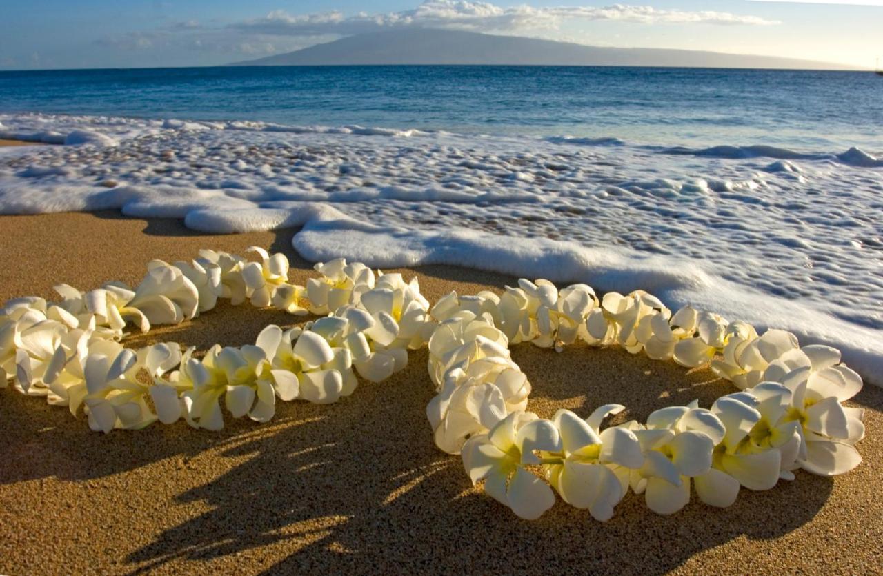 Diamond Head Views Retreat With Free Parking & Near Waikiki Beach! Honolulu Esterno foto