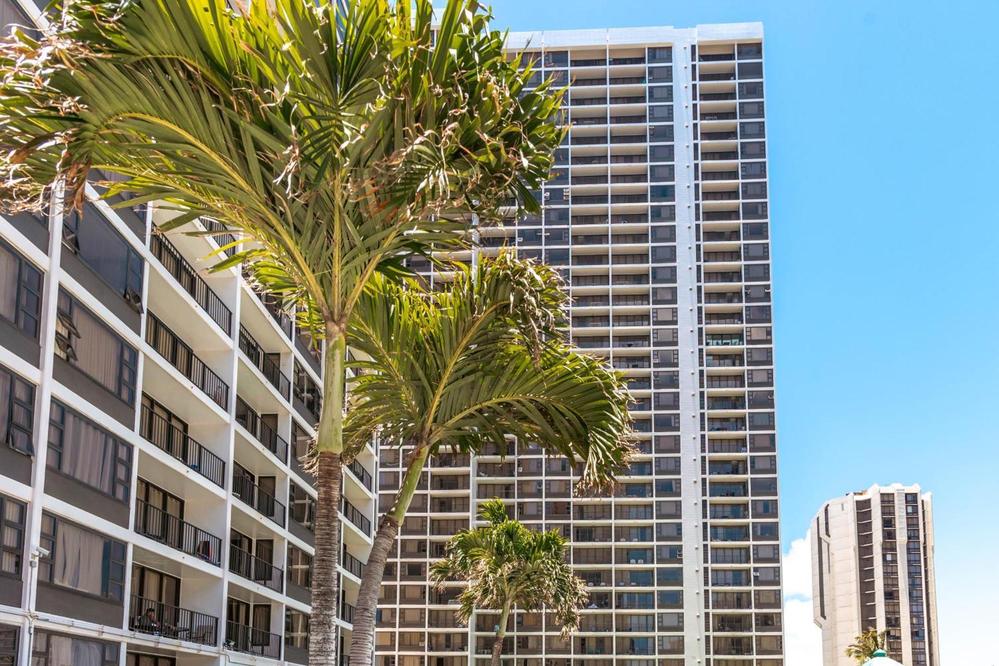 Diamond Head Views Retreat With Free Parking & Near Waikiki Beach! Honolulu Esterno foto